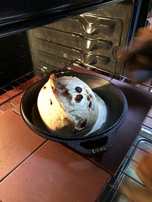 Cranberry Poppy seed Semolina Sourdough
Progress check

