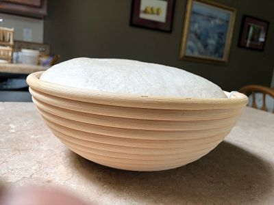 Fully proofed, in profile
Fully proofed dough, ready for baking, peeks over the top of the banneton
