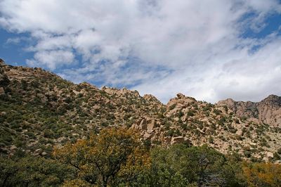 Cochise Stronghold Skyline #5
This is a different point of view of this part of the skyline.
