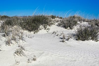 Morning sun, sand and sky
Dry lake bed near Willcox, AZ
