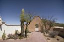04092020_SaguaritaAz_CactusTour_100_PortfolioExp.jpg