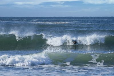 Sea Lion Body Surfing
We were lucky enough to see this amazing event, and even more fortunate to be prepared and capture some images of it.
